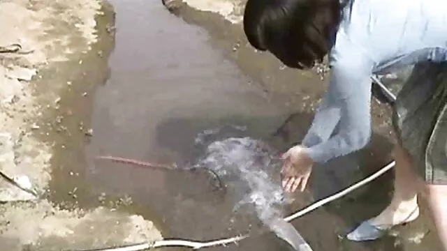 日本の女の子Renka清水は彼女の元を食べる,無修正. 女の子 用 エッチ な 動画